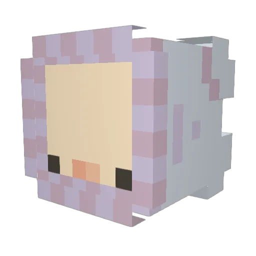 RocksRFruit Minecraft avatar head, 3D render