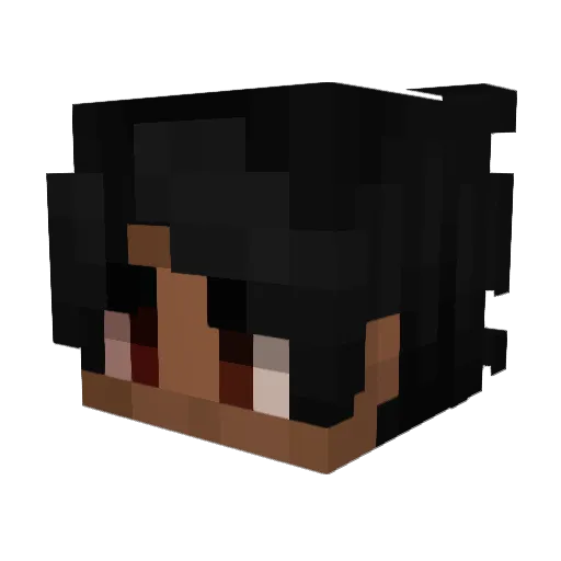 Rockslide9959 Minecraft avatar head, 3D render