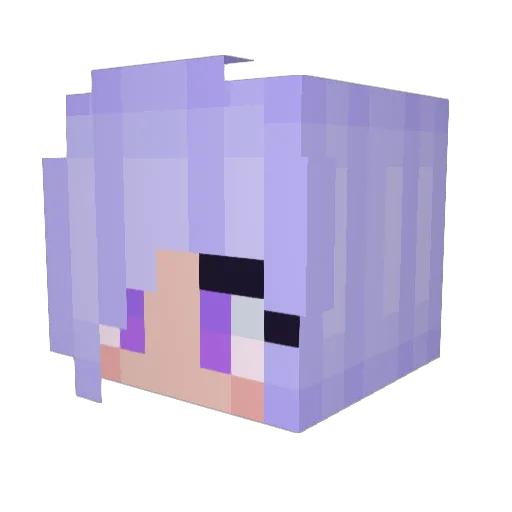 RockstarNova Minecraft avatar head, 3D render