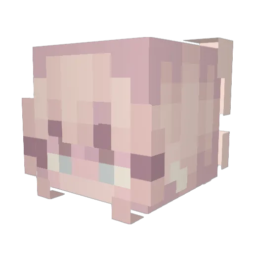 RockstarTamey Minecraft avatar head, 3D render