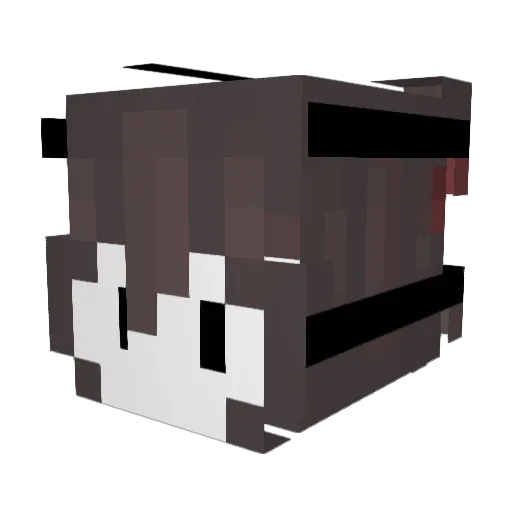 RockstarTown Minecraft avatar head, 3D render