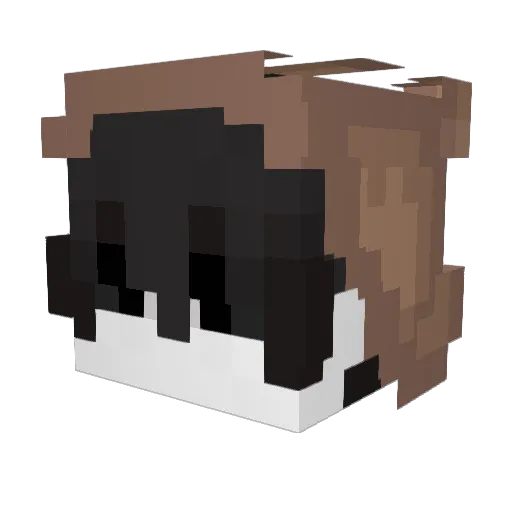 RockstarWard Minecraft avatar head, 3D render