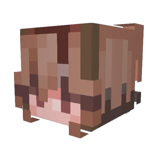 Rockstar_Kaylee Minecraft avatar head, 3D render