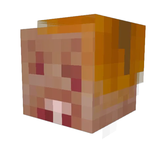 Rocktail1202 Minecraft avatar head, 3D render