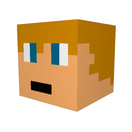Rocky2854 Minecraft avatar head, 3D render
