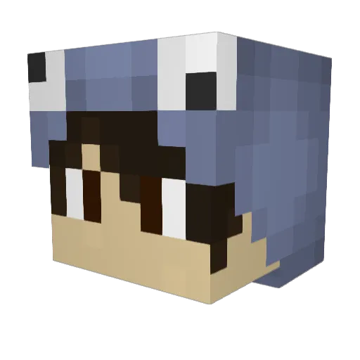 Rocky918 Minecraft avatar head, 3D render