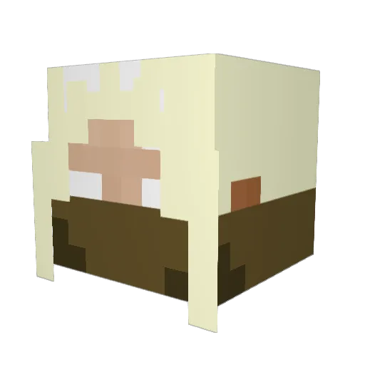 Rocky9525 Minecraft avatar head, 3D render