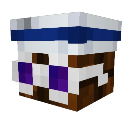 RockyChoco Minecraft avatar head, 3D render