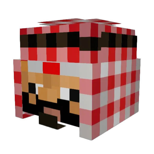 RockySurfer Minecraft avatar head, 3D render