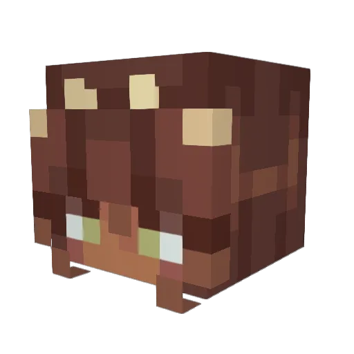 RockyTK3000 Minecraft avatar head, 3D render
