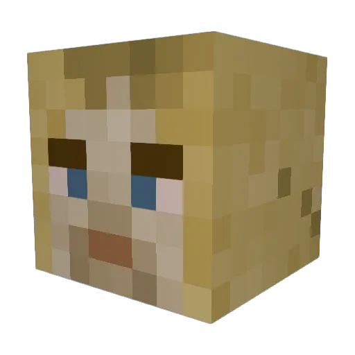 Rocky_Bear Minecraft avatar head, 3D render