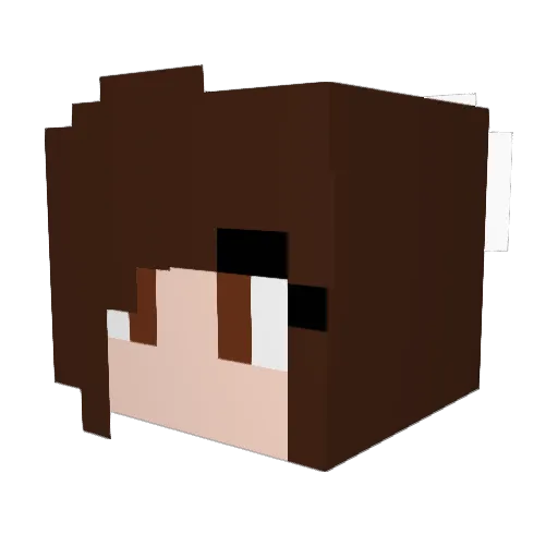 Rocky_Brynn2002 Minecraft avatar head, 3D render