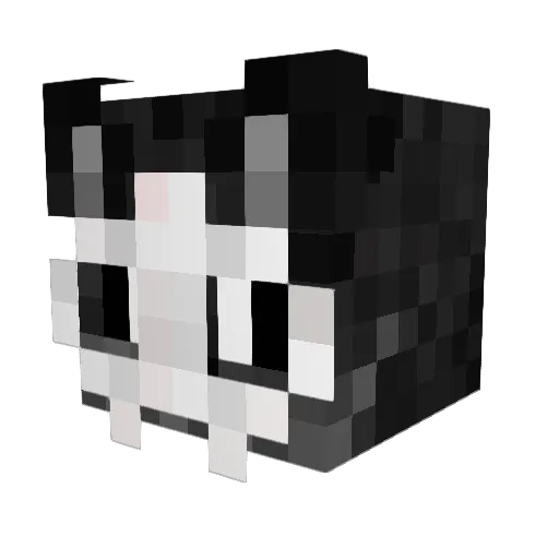 Rocky_TheFox Minecraft avatar head, 3D render