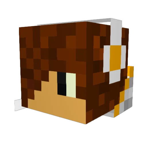 Rockydou9000 Minecraft avatar head, 3D render
