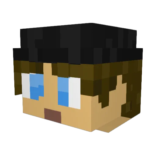 Rockyfish Minecraft avatar head, 3D render