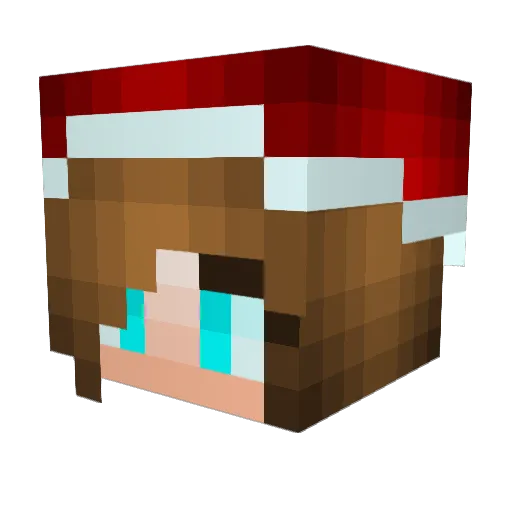 Rockygull Minecraft avatar head, 3D render