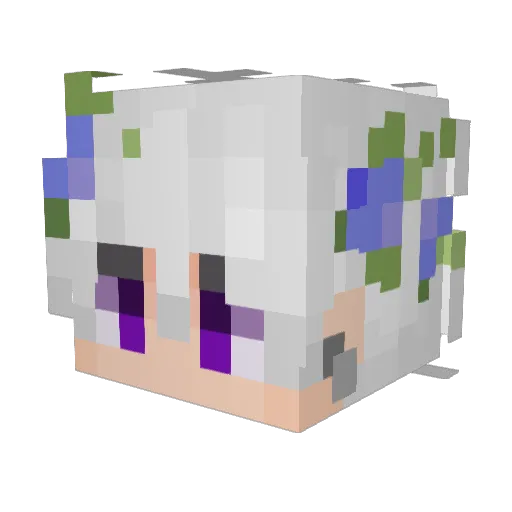 Rockysonic1396 Minecraft avatar head, 3D render