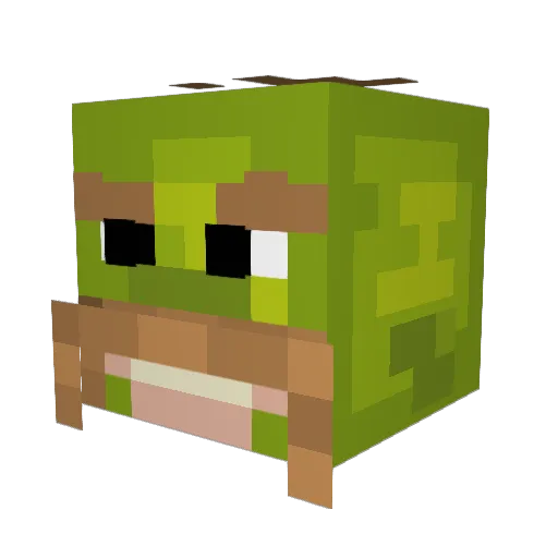 Rockystar93 Minecraft avatar head, 3D render