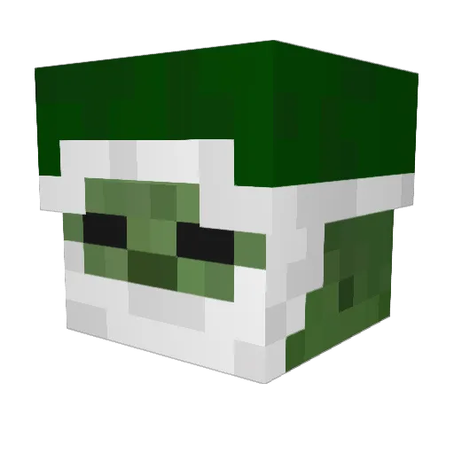 Rockytopsof1861 Minecraft avatar head, 3D render