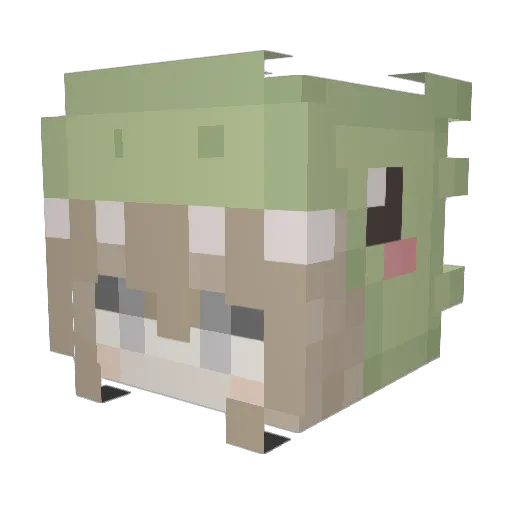 Rockyy714 Minecraft avatar head, 3D render