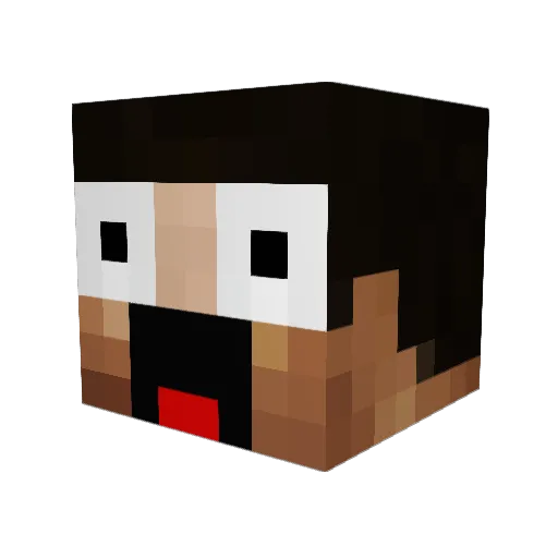 Rocoh Minecraft avatar head, 3D render