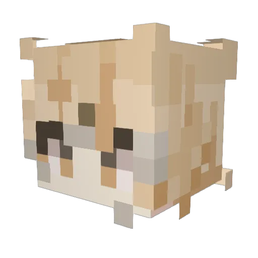 Rocsv Minecraft avatar head, 3D render