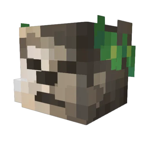 RodProdigy Minecraft avatar head, 3D render