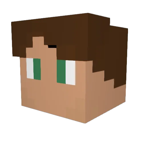 Roda5712 Minecraft avatar head, 3D render