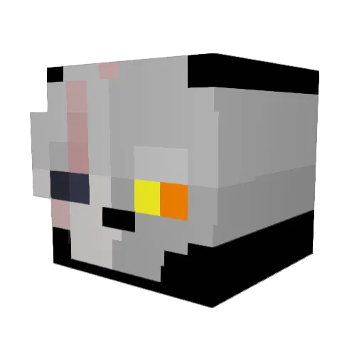 Rodan_0710 Minecraft avatar head, 3D render