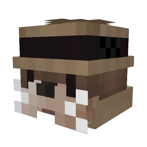 RoddernCOOL Minecraft avatar head, 3D render
