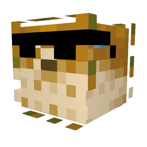 Roddygtsz Minecraft avatar head, 3D render