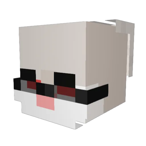 Roden5 Minecraft avatar head, 3D render