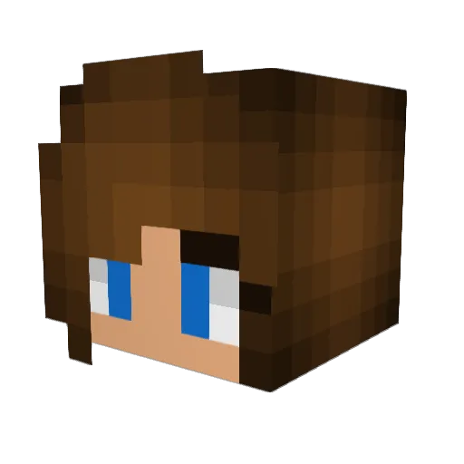 RodeoHorse12 Minecraft avatar head, 3D render