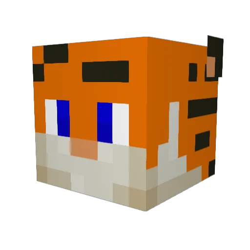RodgersTodger Minecraft avatar head, 3D render