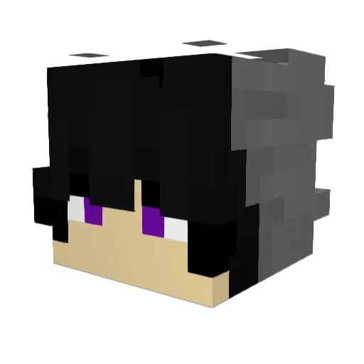 RodiGamer25 Minecraft avatar head, 3D render