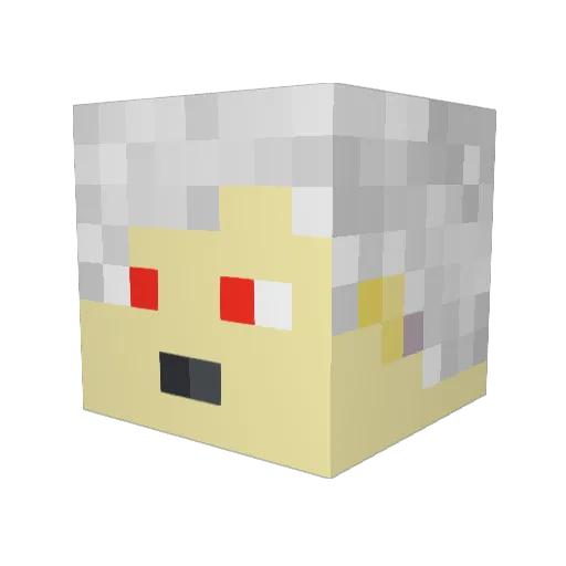 Rodion05 Minecraft avatar head, 3D render
