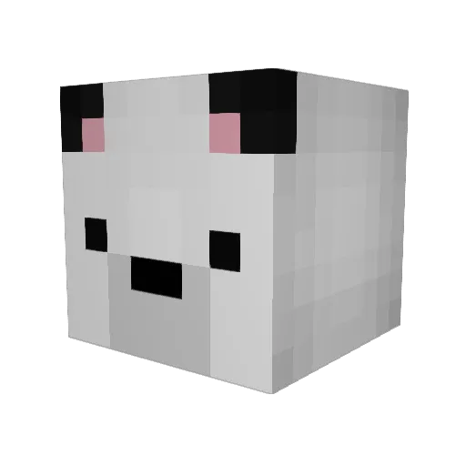 Rodmaster03 Minecraft avatar head, 3D render