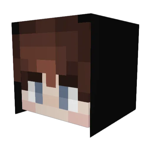 Rodney_Ap Minecraft avatar head, 3D render