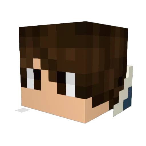 Rodricki Minecraft avatar head, 3D render