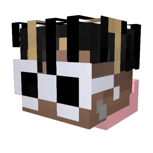 Rodrigames432 Minecraft avatar head, 3D render