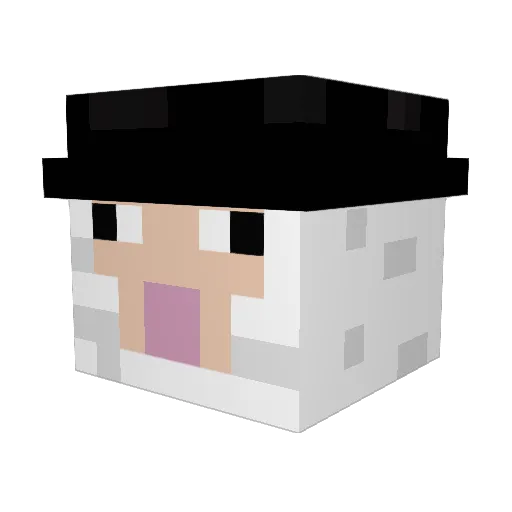 Rodrinho666 Minecraft avatar head, 3D render