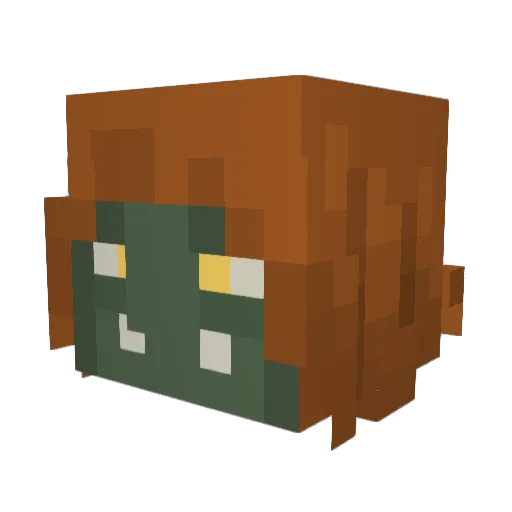 Roe9137 Minecraft avatar head, 3D render