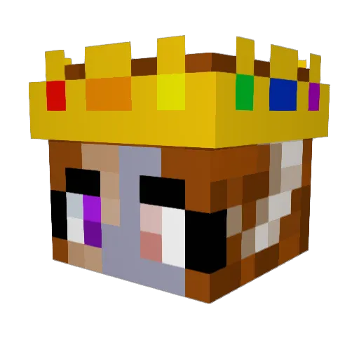 RoeBo2879 Minecraft avatar head, 3D render