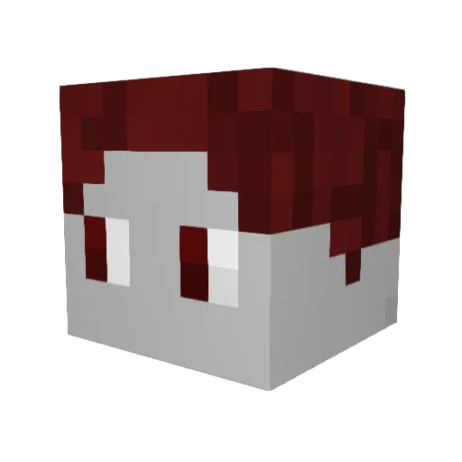 Roebee Minecraft avatar head, 3D render