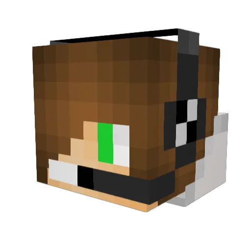Roech_ Minecraft avatar head, 3D render