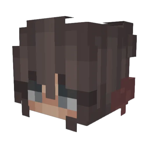 RoeeTheHacker1 Minecraft avatar head, 3D render