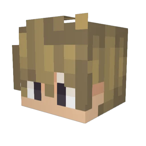 RoeiSmurf Minecraft avatar head, 3D render
