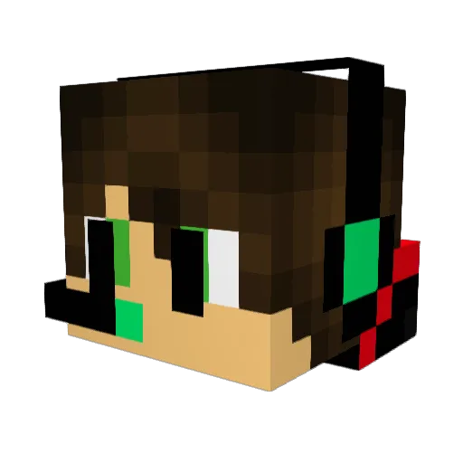 Roelie_vis Minecraft avatar head, 3D render