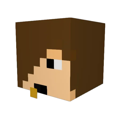 Roelofski Minecraft avatar head, 3D render