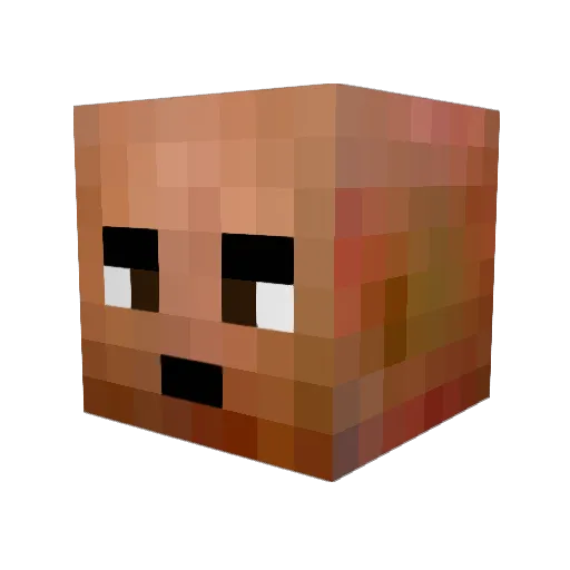 Roelus Minecraft avatar head, 3D render